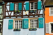 France, Haut Rhin, Alsace Wine Road, Colmar, La Petite Venise district, traditional half-timbered houses, quai de la Poissonnerie\n