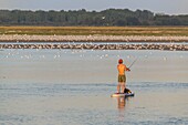 France, Somme, Somme Bay, Saint-Valery-sur-Somme, Paddle at the entrance to the port of Saint-Valery\n