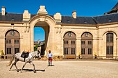 France, Oise, Chantilly, Chantilly Castle, the Great Stables, rider training his horse in the carousel\n