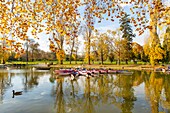 Frankreich, Paris, der Bois de Vincennes, der See Daumesnil im Herbst