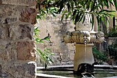 France, Vaucluse, Seguret, labelled Les Plus Beaux Villages de France (The Most beautiful Villages of France), Mascarons fountain\n