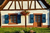 Frankreich, Bas Rhin, Parc Naturel Regional des Vosges du Nord (Regionaler Naturpark Nordvogesen), traditionelles Fachwerkhaus