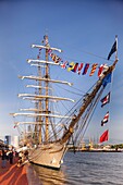 Frankreich, Seine Maritime, Rouen, Armada 2019, Besucher und vertäute Cisne Branco