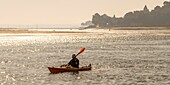 France, Somme, Somme Bay, Saint-Valery-sur-Somme, Cape Hornu, Kayak on the channel of the Somme\n