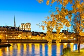France, Paris, area listed as World Heritage by UNESCO, Ile de la Cite, Notre Dame de Paris Cathedral in autumn\n