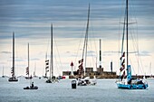 Frankreich, Seine Maritime, Le Havre, Transat Jacques Vabre, Boote auf dem Weg zur Startlinie