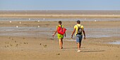 Frankreich, Somme, Somme-Bucht, Naturschutzgebiet der Somme-Bucht, Le Crotoy, Strände der Maye, Spaziergänger in der Somme-Bucht bei Ebbe