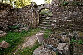 Frankreich, Bas Rhin, Haegen, Burg Grand Geroldseck aus dem 12. Jahrhundert, Wohngebäude