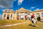 France, Oise, Chantilly, the castle of Chantilly, the Grandes Ecuries, Estelle, rider of the Grandes Ecuries, makes rear her horse in front of the Grandes Ecuries\n