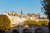 France, Paris, area listed as World Heritage by UNESCO, the buildings of the Ile de la Cite\n