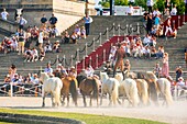 Frankreich, Oise, Chantilly, Chateau de Chantilly, 5. Ausgabe von Chantilly Arts & Elegance Richard Mille, ein Tag, der Oldtimern und Sammlerfahrzeugen gewidmet ist