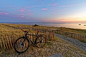 Frankreich, Morbihan, Golf von Morbihan, Regionaler Naturpark des Golfs von Morbihan, Locmariaquer, Kerpenhir Point, der Strand