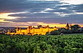 Frankreich, Aude, Carcassonne, mittelalterliche Stadt Carcassonne, von der UNESCO zum Weltkulturerbe erklärt