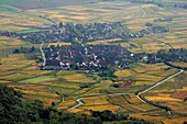 France, Bas Rhin, Orschwiller, from the Haut Koenigsbourg castle dungeon, the village of Saint-Hippolyte, the vineyard, autumn\n