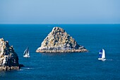 France, Finistere, Armorica Regional Natural Park, Crozon Peninsula, Camaret-sur-Mer, Tas de Pois at Pointe de Pen Hir\n