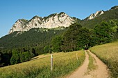 Frankreich, Haute Savoie, Massiv des Geoparks Chablais, Thollon les Memises, die Felsen des Gipfels von Memises von den Weiden des Mont Benand aus gesehen