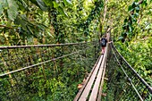 France, Caribbean, Lesser Antilles, Guadeloupe, Basse-Terre, Bouillante, Parc des Mamelles (Guadeloupe Zoo), canopy trek\n