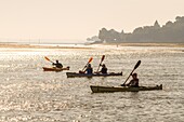 Frankreich, Somme, Somme-Bucht, Saint-Valery-sur-Somme, Kap Hornu, Kajak auf dem Kanal der Somme