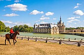 Frankreich, Oise, Chantilly, Chateau de Chantilly, die Grandes Ecuries (Große Ställe), Clara, Reiter der Grandes Ecuries, führt sein Pferd im spanischen Schritt vor dem Schloss