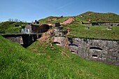 France, Territoire de Belfort, Giromagny, fort Dorsner built in 1875, fortified system Sere de Rivieres, maintenance by the goats\n
