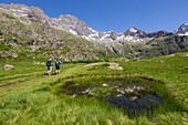 France, Hautes Alpes, Ecrins National Park, valley of Valgaudemar, La Chapelle en Valgaudemar, the glacial circus of Gioberney, hiking to Lauzon Lake\n