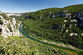 Frankreich, Ardeche, Nationaler Naturpark Ardeche-Schluchten, Saint-Remeze, die Ardeche-Schlucht