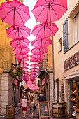 France, Alpes-Maritimes, Grasse, historic center, pink umbrellas in Dominique Conte street\n