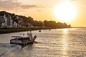 Frankreich, Somme, Bucht von Somme, Saint-Valery-sur-Somme, Eines der Boote von Commander Charcot bringt Touristen zu einer kleinen Kreuzfahrt in der Bucht von Somme bei Sonnenuntergang