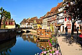 France, Haut Rhin, Alsace Wine Road, Colmar, La Petite Venise district, traditional half-timbered houses, quai de la Poissonnerie\n