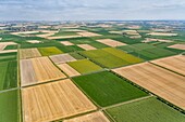 France, Puy de Dome, Combronde, crops in the plain of Limagne (aerial view)\n