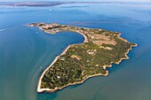 France, Charente Maritime, Aix island (aerial view)\n