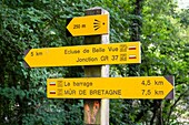 France, Morbihan, Saint-Aignan, Guerledan lake, hiking path\n