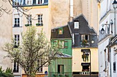 France, Paris, Saint Michel district, old houses Rue Galande\n