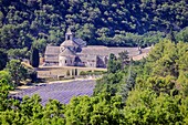 France, Vaucluse, municipality of Gordes, abbey Notre Dame de Senanque of the XIIth century\n