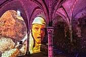 Frankreich, Loiret, Meung sur Loire, Schloss Meung sur Loire, aus dem 12. Jahrhundert, seit 1988 unter Denkmalschutz, Schlossverlies, Lichtprojektion