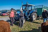 France, Puy de Dome, Brion cattle fair, Rémi Fargeix came to sell some Saler cows, negotiation with potential buyers, Compains, Plateau du Cézallier, Auvergne Volcanoes Regional Nature Park\n