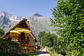 France, Hautes Alpes, Ecrins National Park, valley of Valgaudemar, La Chapelle en Valgaudemar, thatched roof of a chalet hamlet les Portes\n