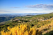 Frankreich, Alpes Maritimes, Parc Naturel Regional des Prealpes d'Azur, Gourdon, beschriftet mit Les Plus Beaux Villages de France, die Küste der Côte d'Azur und Esterel im Hintergrund