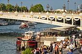 France, Paris, area listed as World Heritage by UNESCO, the Rives de Seine Park at Alexandre III bridge\n