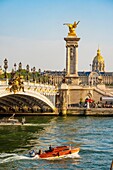 France, Paris, area listed as World Heritage by UNESCO, the park of the banks of the Seine, the Alexandre III bridge and the disabled\n