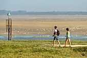 France, Somme, Somme Bay, Saint-Valery-sur-Somme, Cape Hornu, Walkers in the salted meadows along the channel of the Somme\n