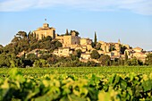 France, Vaucluse, regional natural reserve of Luberon, Ansouis, certified the Most beautiful Villages of France the 17th century castle and the St Martin church\n