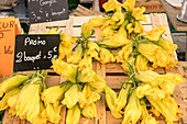 Frankreich, Alpes Maritimes, Nizza, von der UNESCO zum Weltkulturerbe erklärt, Markt La Liberation, Zucchiniblüten