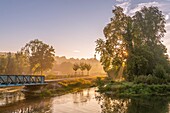 France, Somme, Valley of the Somme, Long, the banks of the Somme in the early morning, along the river\n