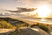 Frankreich, Somme, Quend-Plage, Die Dünen von Marquenterre am Ende des Tages zwischen zwei Regenschauern im Herbst