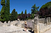 Frankreich, Vaucluse, Vaison la Romaine, archäologische Ausgrabungsstätte von Puymin, das Haus des Lorbeers Apollo
