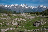 France, Hautes Alpes, massif of Oisans, national park of Ecrins, Vallouise, hike towards Pointe des Tetes, the summit plateau and the peaks of Pelvoux\n
