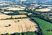 Frankreich, Loire Atlantique, Chauve, bocage (Luftaufnahme)