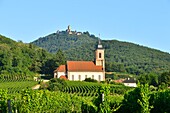 France, Haut Rhin, Alsace Wine Road, St HIppolyte church and Haut Koenigsbourg castle\n