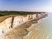 Frankreich, Somme, Somme-Bucht, zwischen dem Bois de Cise und Mers les Bains, die Felsen der Picardie (Luftaufnahme)